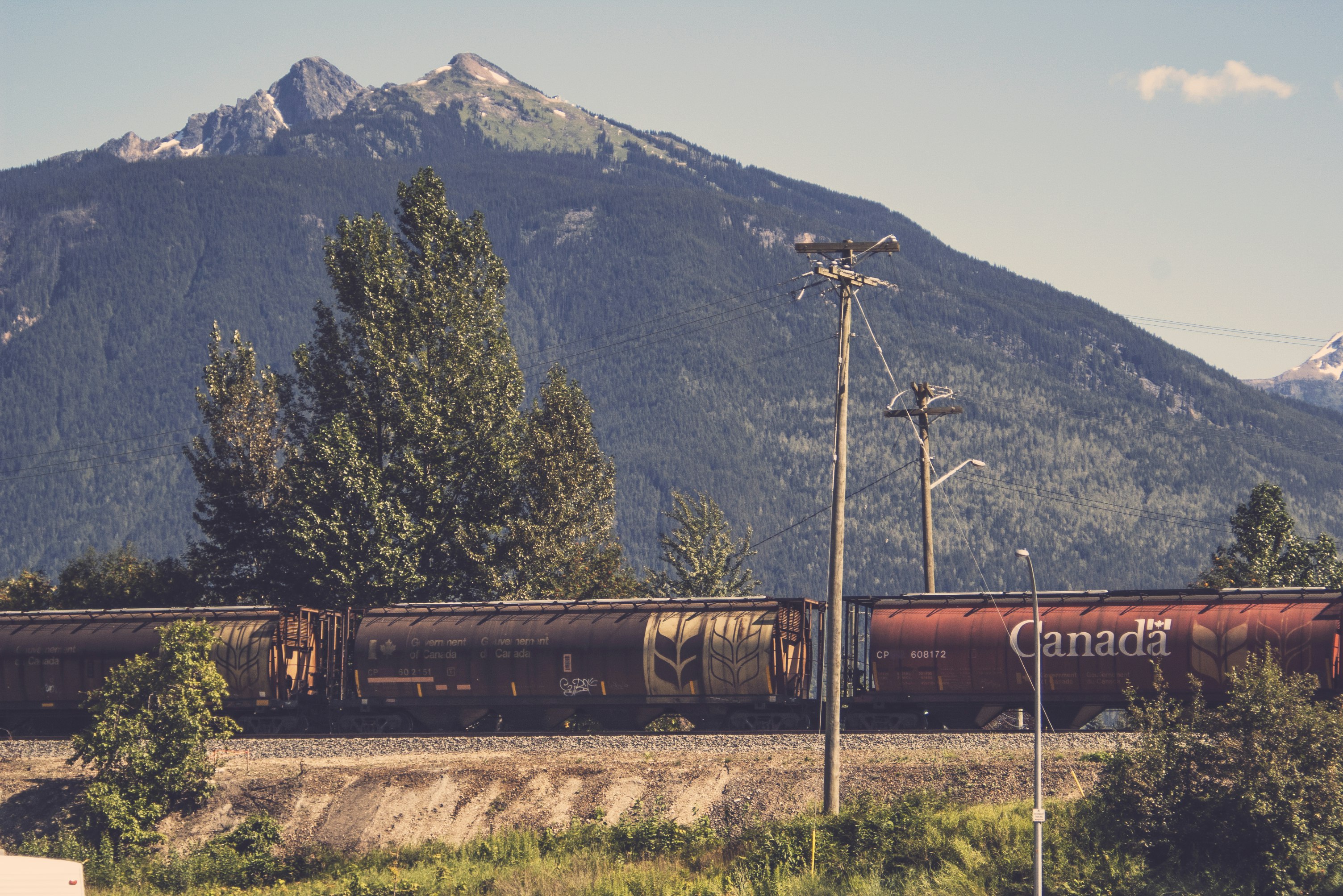 brown and red train at daytime